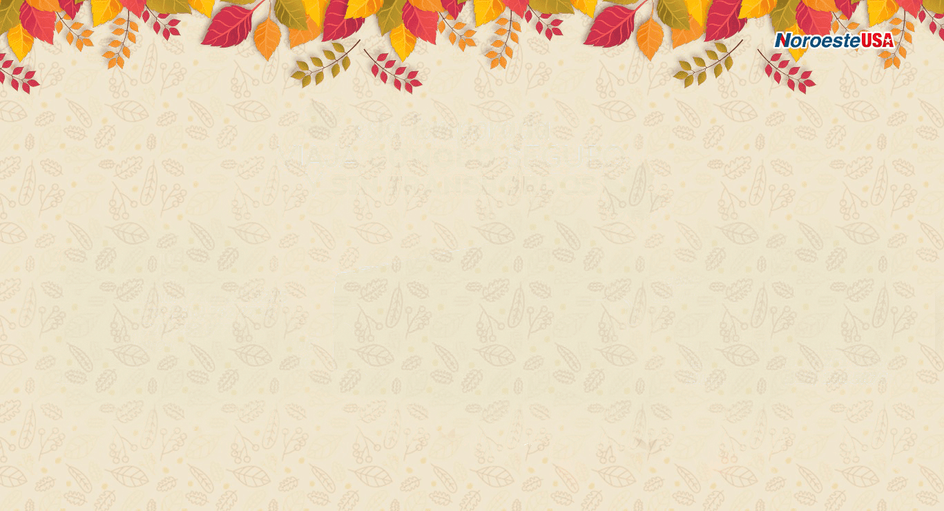 banner_fondo