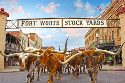 Fort Worth, TX