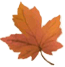 hoja_1