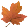 hoja_2